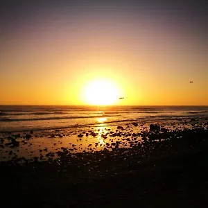 https://sol-y-mar-puerto-paraiso.in-canary-islands.com